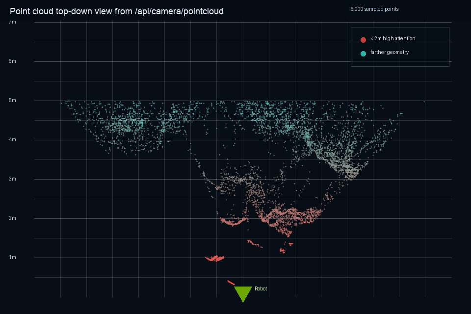 Top-down distance view of the RealSense point cloud